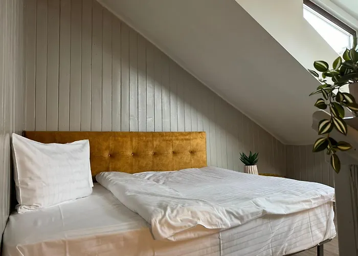 Central Stay Brasov