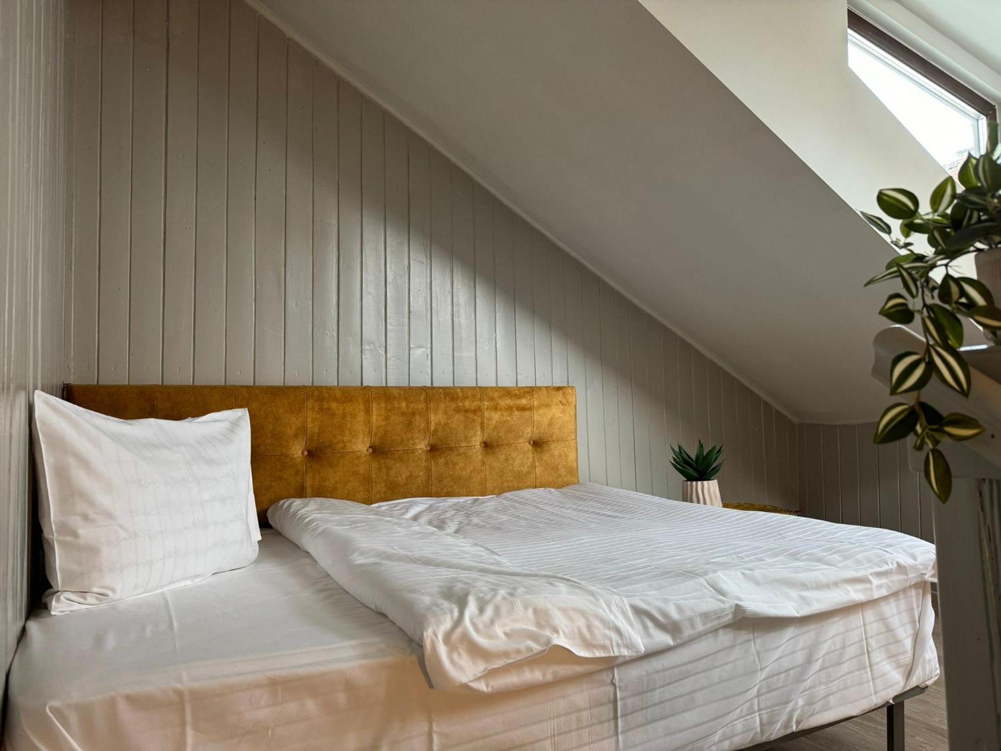 Apartment Central Stay Brasov *